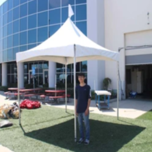 Carpa Arabe